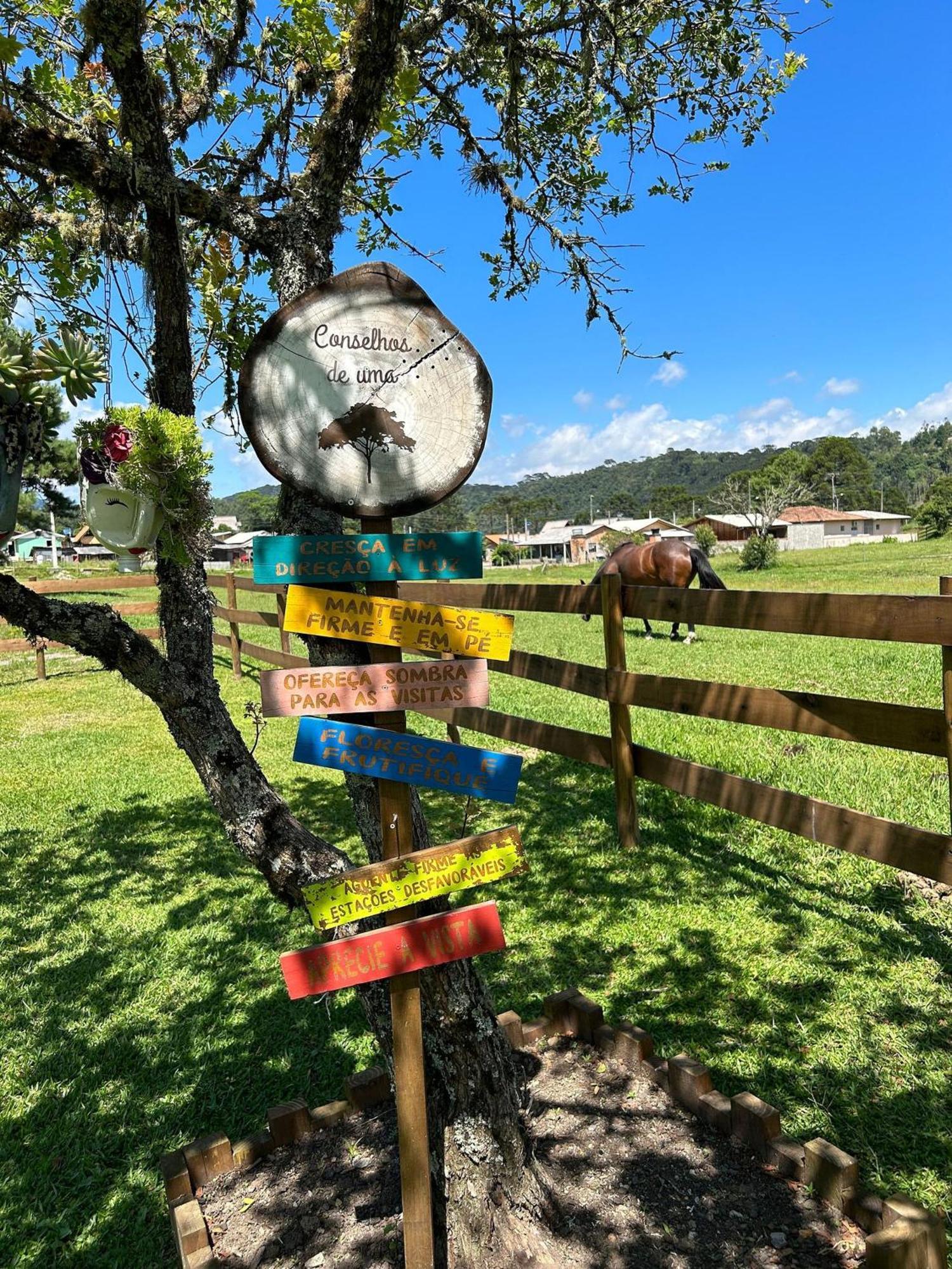 Toca Da Coruja Hospedagem - Urubici - Sc Eksteriør bilde